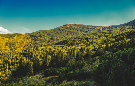 秋天美丽的山景。Instagram老式电影过滤器