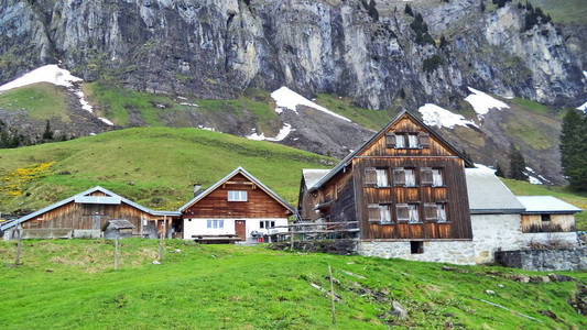 瑞士圣加伦州丘尔弗林登山脉南坡的高山养牛场和传统建筑