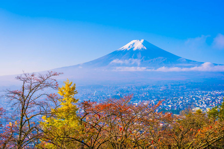 日本大林秋季枫叶树周围美丽的富士山景观，白云蓝天