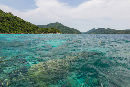 团体游客浮潜美丽的大海，水是绿色的苏里南群岛泰国旅游景点