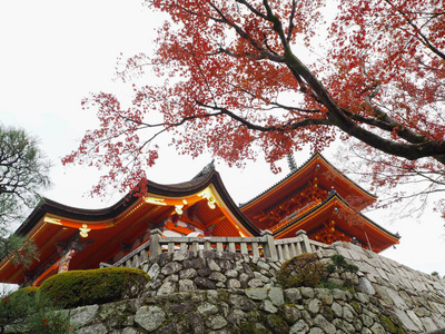京都，日本秋在宫祖德拉寺