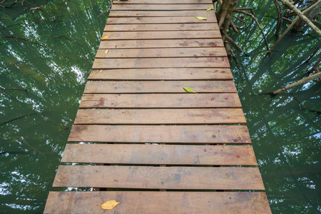 泰国Rayong省东丙通红树林中的木桥