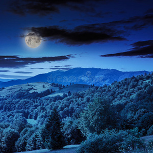 夜晚山间山谷附近的松树