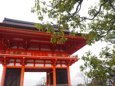 日本京都，秋日秋日，秋日宫