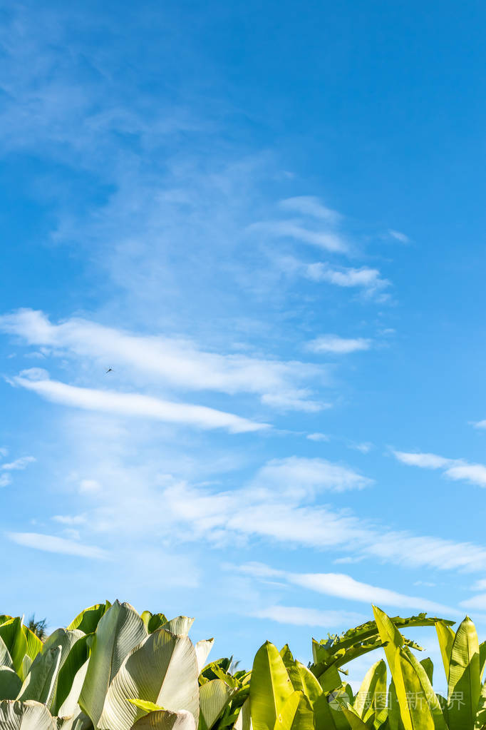 蓝色明亮的热带天空背景晴天巴厘岛印度尼西亚