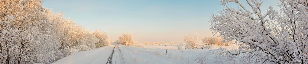 阿汉格尔斯克地区。 莱夫科夫卡村附近的冬天。 雪覆盖了田野和道路。