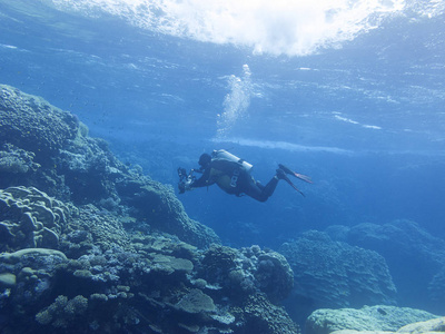 热带海底多彩珊瑚礁潜水摄影师水下景观
