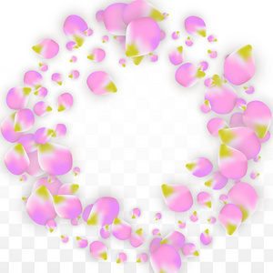 矢量现实主义粉红花瓣落在透明的背景。春天浪漫的花插图。飞行的花瓣。樱花水疗设计。开花的康彩提