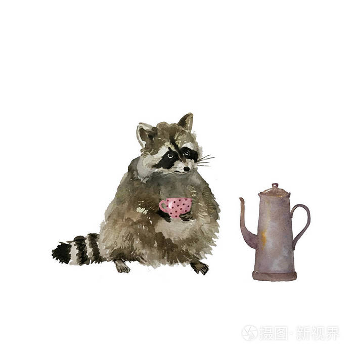 可爱的浣熊动物 水色 孤立的插图照片 正版商用图片1d1d 摄图新视界