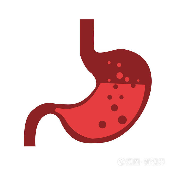 白色背景下红色人体胃的矢量图像