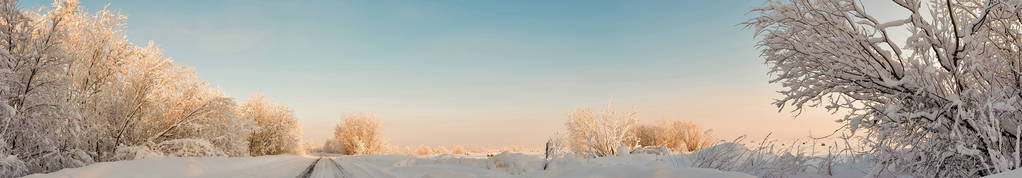 阿汉格尔斯克地区。在莱夫科夫卡村附近过冬..白雪覆盖的田野和道路。