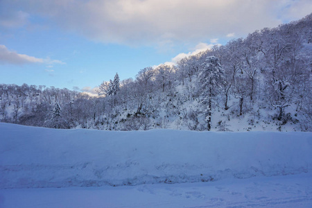 美丽的冬季景观与冬季森林下的雪粉雪在北海道日本的一条道路上