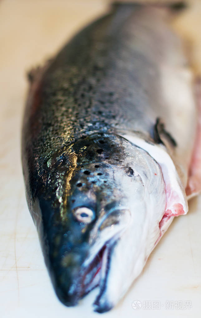 白色背景下分离的鲑鱼头