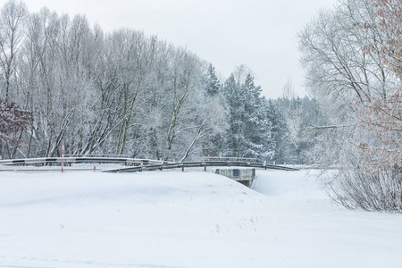 公路上的雪树景观和小桥图片