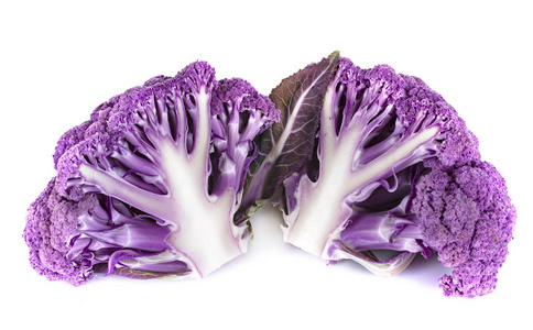 紫菜花甘蓝在白色背景前照片 正版商用图片17vtlz 摄图新视界 紫菜花甘蓝在白色背景前照片 正版商用图片17vtlz 摄图新视界