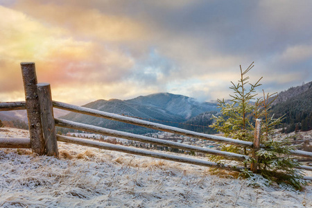 雪山上的冬天早晨。 景观。 乌克兰喀