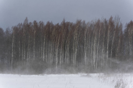 在波兰国家公园里，冬天有黑雪云和暴风雪。