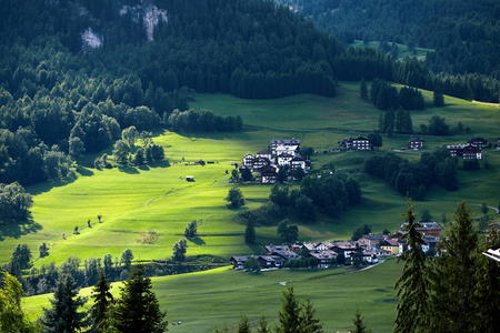 Ampezzo with sun spot on grass. Top view. Belluno, Italy