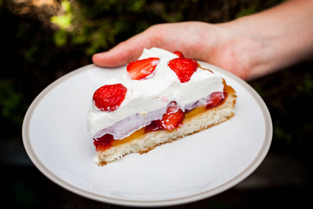 一只手拿着盘子, 上面有一片蛋糕的景象.