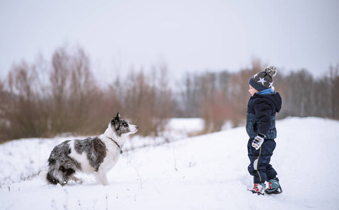 小男孩和他的狗在大自然中度过了冬天的一天