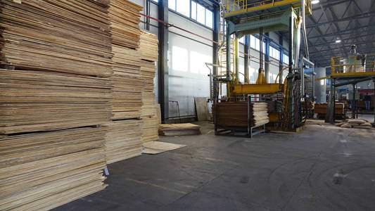 生产胶合板的商店。 商业木材的加工。 木工行业