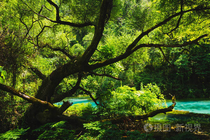 令人惊叹的绿色植被.阿尔巴尼亚,萨兰达地区.