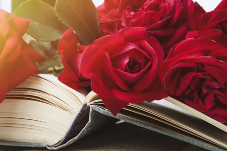 轻石红色玫瑰在一本开放的书上的轻石背景. 浪漫主义文学的概念.