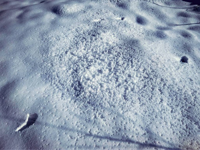 冬天明亮的白天，蓝色的色调中夹杂着雪。