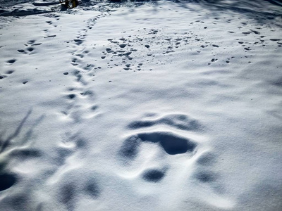 冬天明亮的白天，蓝色的色调中夹杂着雪。