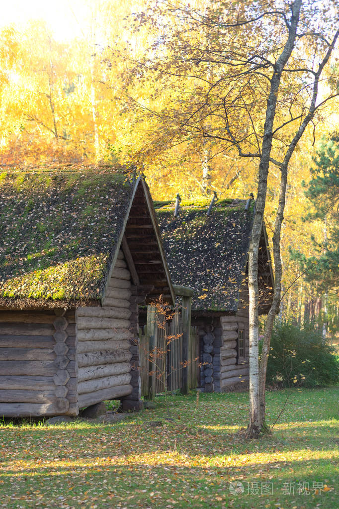 森林里秋天的两栋木结构房屋