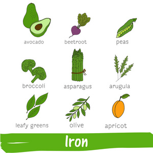 铁含量高的蔬菜和水果。 手绘载体维生素C