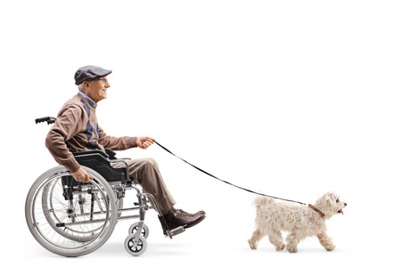 一位坐轮椅的老人在白色背景下遛狗的照片