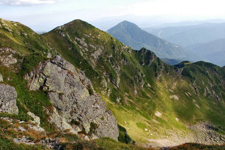 夏天去山上旅行