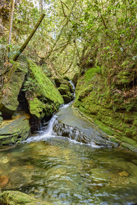 森林内部的小瀑布和河流，由岩石和植被之间的光刺照亮