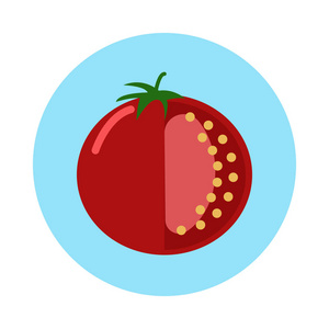 新鲜番茄平面图标。 圆形彩色按钮圆形矢量标志。 平式设计