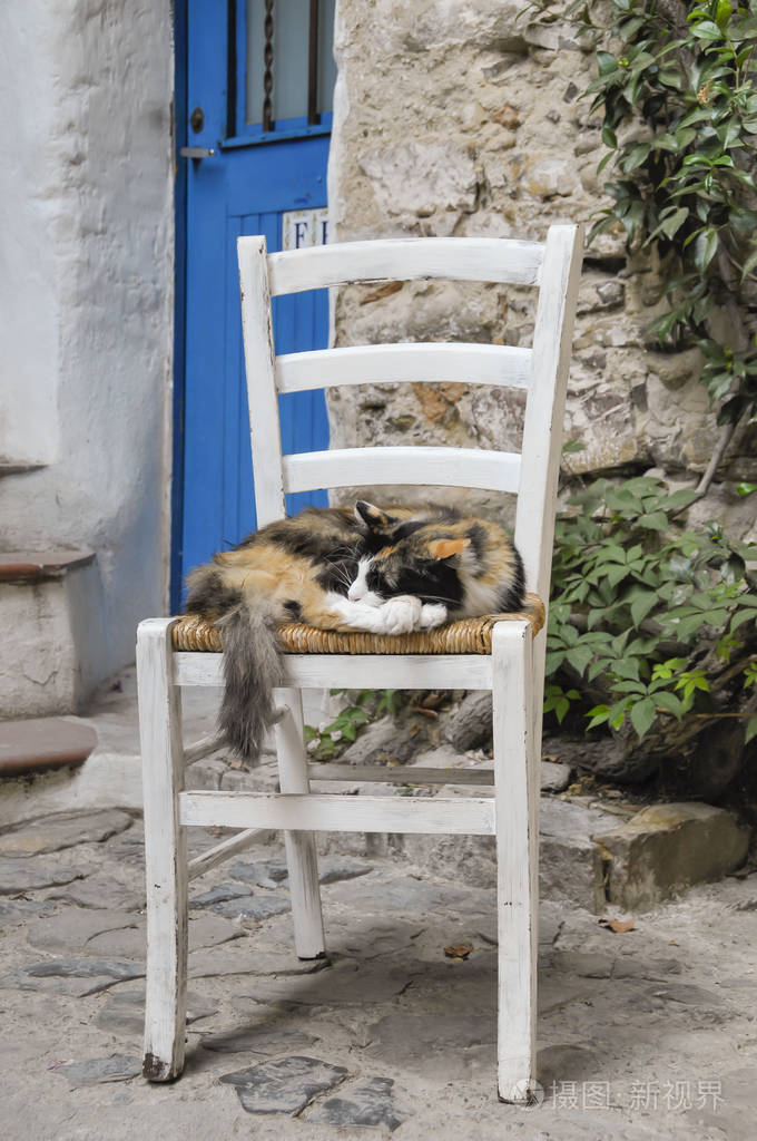 猫睡在一条漂亮的小巷里的椅子上有一扇蓝色的门