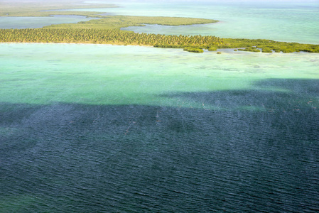 观赏绿松石加勒比海棕榈树沙岸的所罗门群岛多米尼加共和国。 一个放松的天堂。 从直升机机舱俯视。
