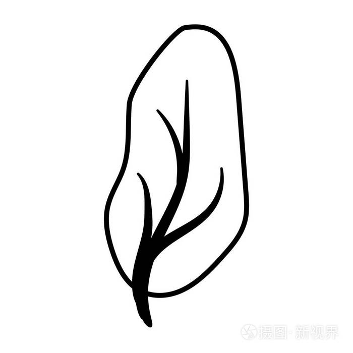 绿叶自然插画-正版商用图片183fck-摄图新视界