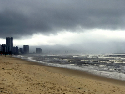 海浪棕榈日落棕榈柬埔寨