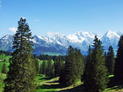 从瑞士圣加伦州丘尔弗林顿山脉俯瞰阿尔卑斯山