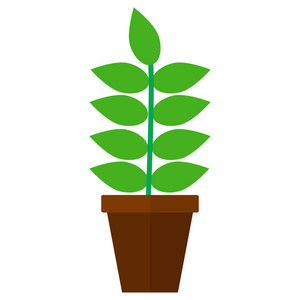 盆栽植物图标矢量插图平面风格设计孤立在白色上. 彩色图形照片