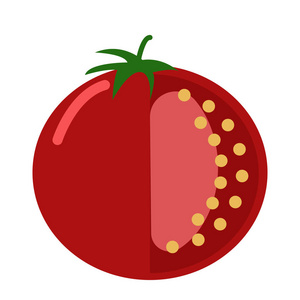 新鲜番茄平面图标矢量标志彩色象形文字隔离在白色上。 健康食品符号标志插图。 平式设计
