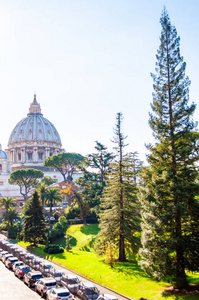 s Basilica from backyard garden full of trees and grass lawns