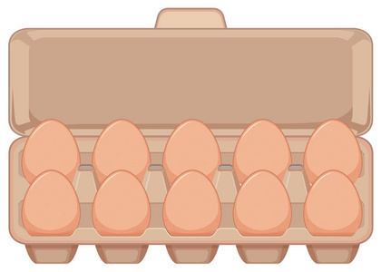 纸箱插图中的孤立鸡蛋