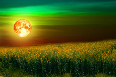 在山谷中的太阳和血月，这幅图像的彩色天空元素由美国宇航局提供
