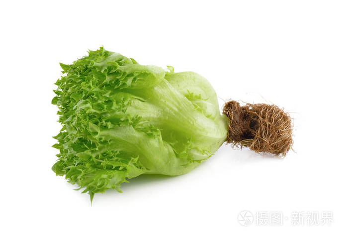 白色背景带根的新鲜冰山生菜