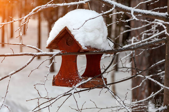 在一棵树上悬挂着的森林里，冬天晴朗的一天，一个木质的鸟舍鸟饲养器覆盖着一大层雪
