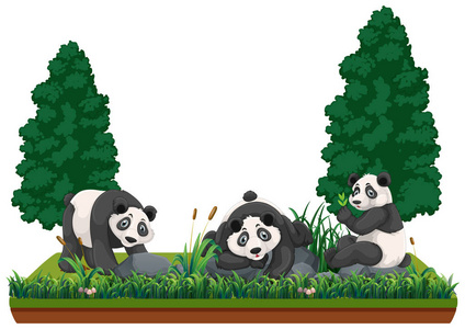 熊猫在自然景观插图