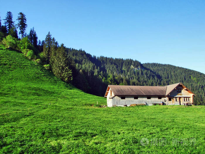 瑞士圣加伦州丘尔弗宁山脉山坡上的高山畜牧场和马厩