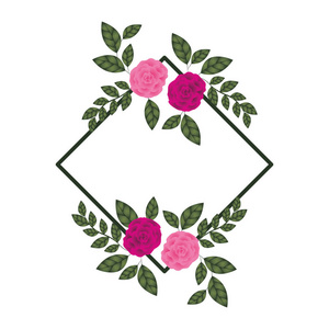 框架与玫瑰隔离图标矢量插图